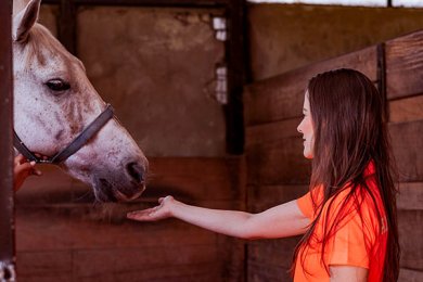 Sesión de Coaching Asistido por Caballos para Alumnos de Maestría