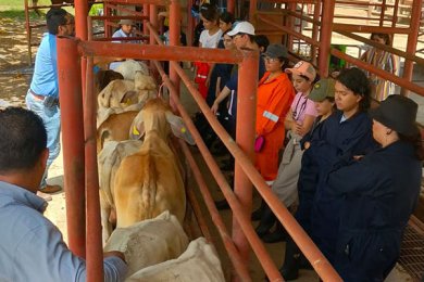 Alumnos de la Primera Generación de Veterinaria Visitan el Sur del Estado