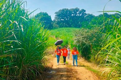 El Camino de Calicanto: Caminata Religiosa