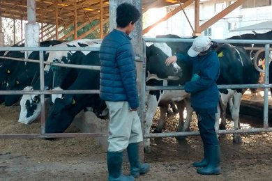 Visita a Rancho Ganadero Especializado en Producción de Leche