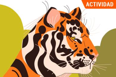 Visita Naturalia: Soñar Despierto
