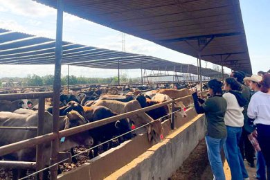 Alumnos Visitan el Rancho Ganadero Santa Rita