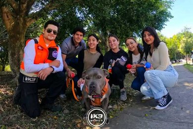 Voluntariado K9 México: Servicio Social que Trasciende Vidas