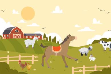 Summer Horse & Farm Experience