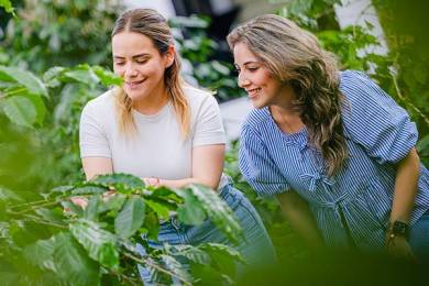 Curso en Cultura y Cata de Café para Colaboradores de Sorteo Anáhuac