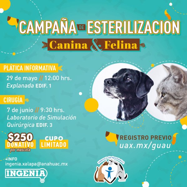 Campaña de Esterilización Canina y Felina