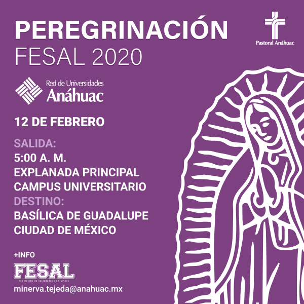 Ver en pantalla completa Peregrinación FESAL 2020