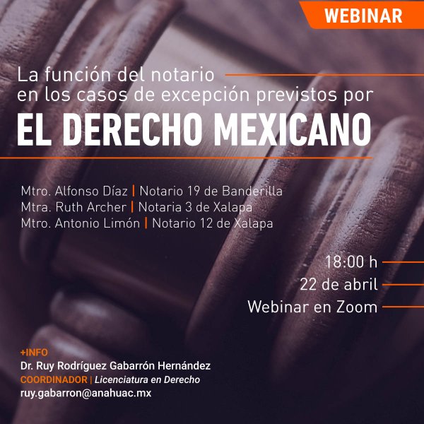 Ver en pantalla completa La Función del Notario en los Casos de Excepción