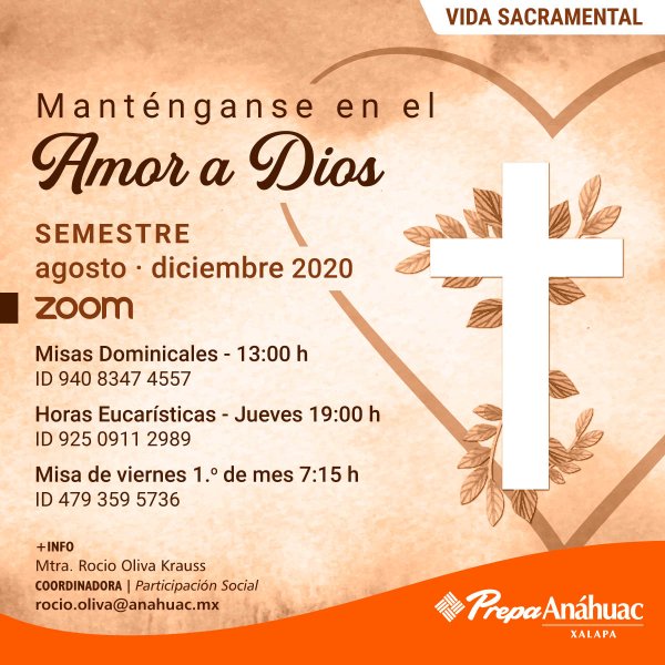 Ver en pantalla completa Vida Sacramental