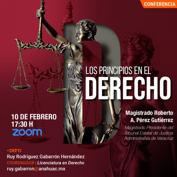 Ver en pantalla completa Los Principios en el Derecho