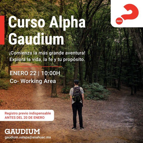Ver en pantalla completa Curso Alpha Gaudium