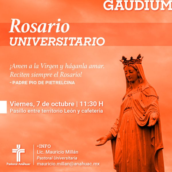 Ver en pantalla completa Rosario Universitario