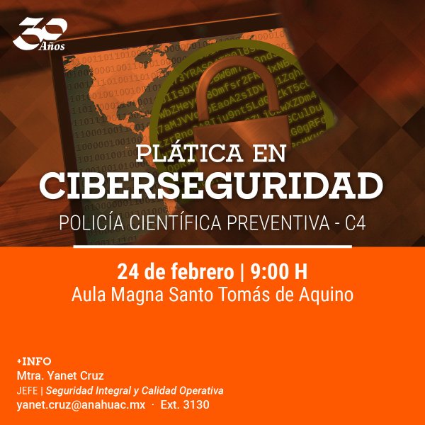 Ver en pantalla completa Ciberseguridad