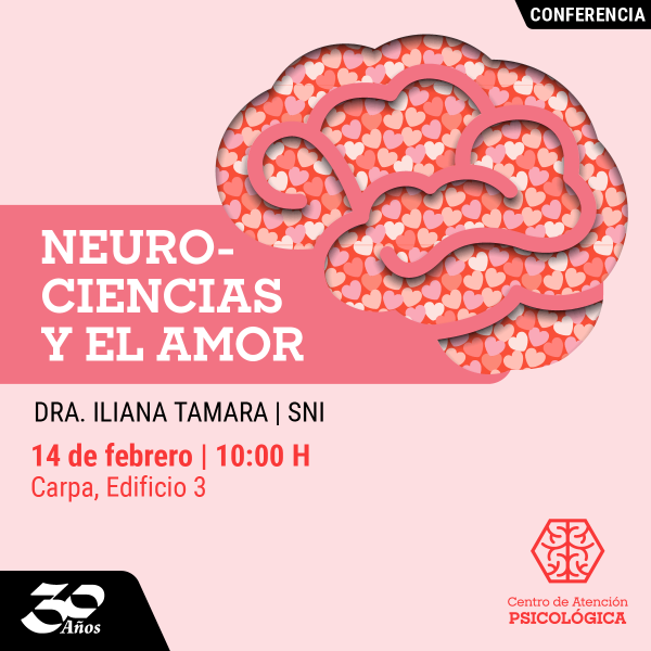 Ver en pantalla completa Neurociencias y el Amor