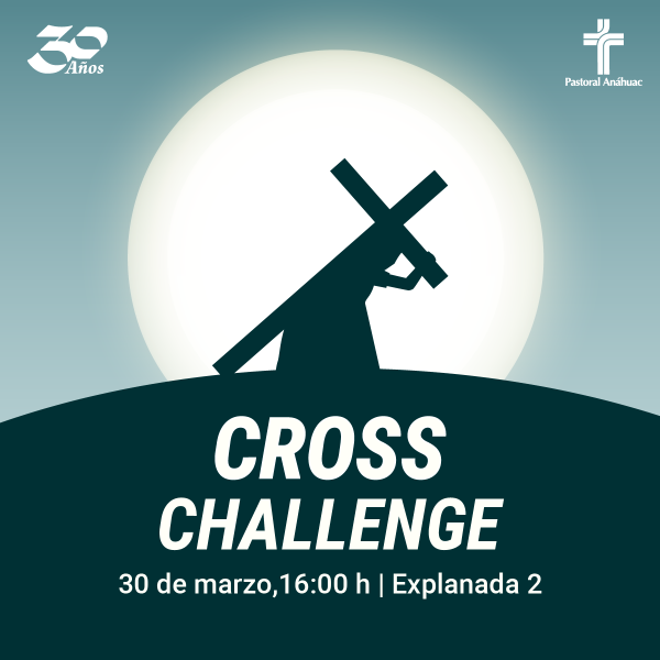 Ver en pantalla completa Cross Challenge