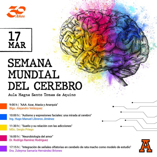 Ver en pantalla completa Semana Mundial del Cerebro