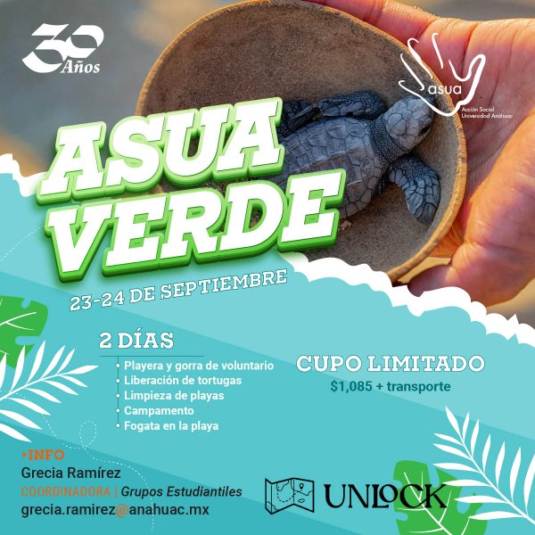 Ver en pantalla completa ASUA Verde