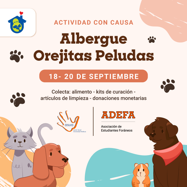 Ver en pantalla completa Albergue Orejitas Peludas: Actividad con Causa