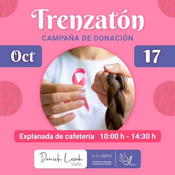 Ver en pantalla completa Trenzatón