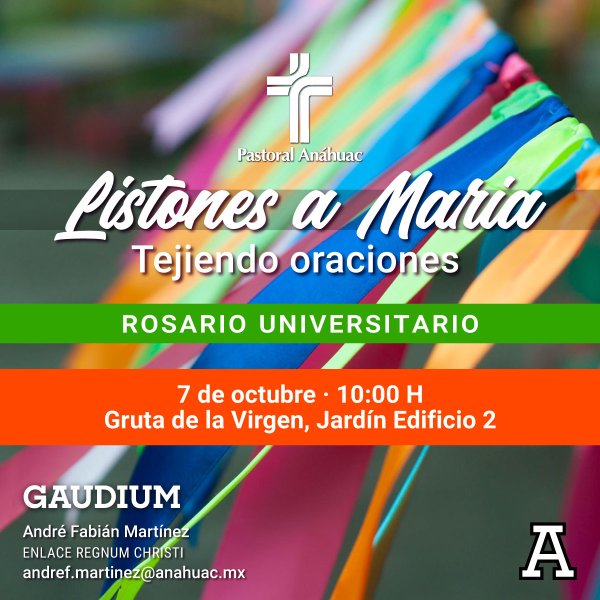 Ver en pantalla completa Listones a María: Tejiendo Oraciones