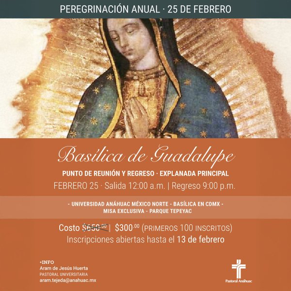 Ver en pantalla completa Peregrinación Anual a la Basílica de Guadalupe