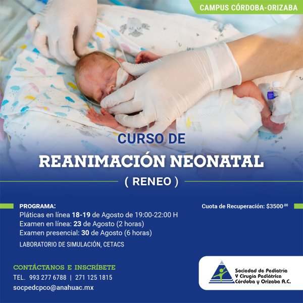 Ver en pantalla completa Curso de Reanimación Neonatal