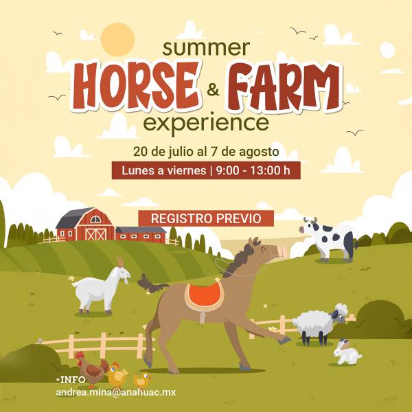 Summer Horse & Farm Experience