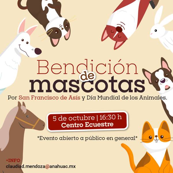 Bendición de Mascotas