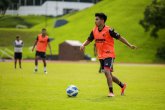 Miniatura: 2 / 7 - Leones Confirma su Debut en la Conferencia Nacional de Fútbol Soccer
