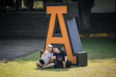 Miniatura 34 / 105