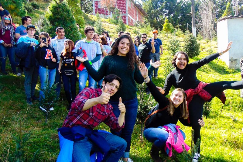 Con el Corte de Árbol Iniciamos la Temporada Navideña 2019 1 / 5 - Con el Corte de Árbol Iniciamos la Temporada Navideña 2019