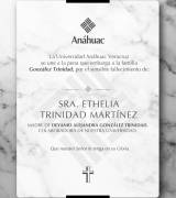 Miniatura 4 / 16