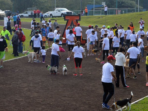 Corriendo con mi Mejor Amigo: Una Carrera con Causa
