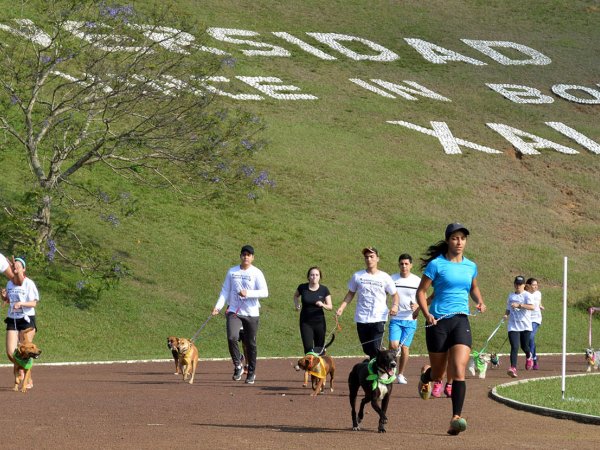 Corriendo con mi Mejor Amigo: Una Carrera con Causa