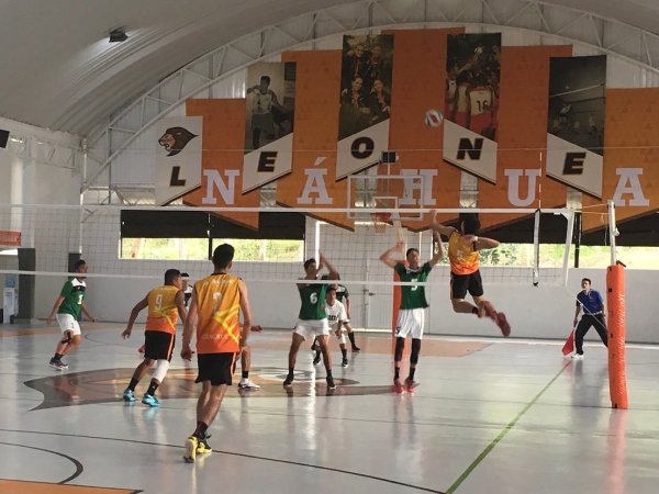 Leones triunfan en Regional de Voleibol