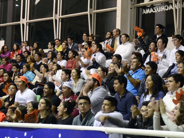 Leones triunfan sobre los Halcones
