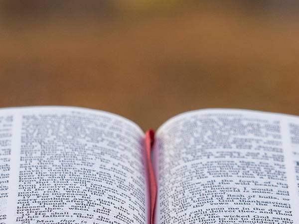 Adquisiciones de Biblioteca en el mes de Noviembre 2018